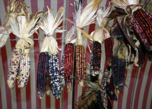 dried corn husks